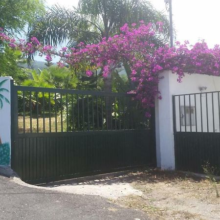 Finca Las Palmeras Icod De Los Vinos Bagian luar foto