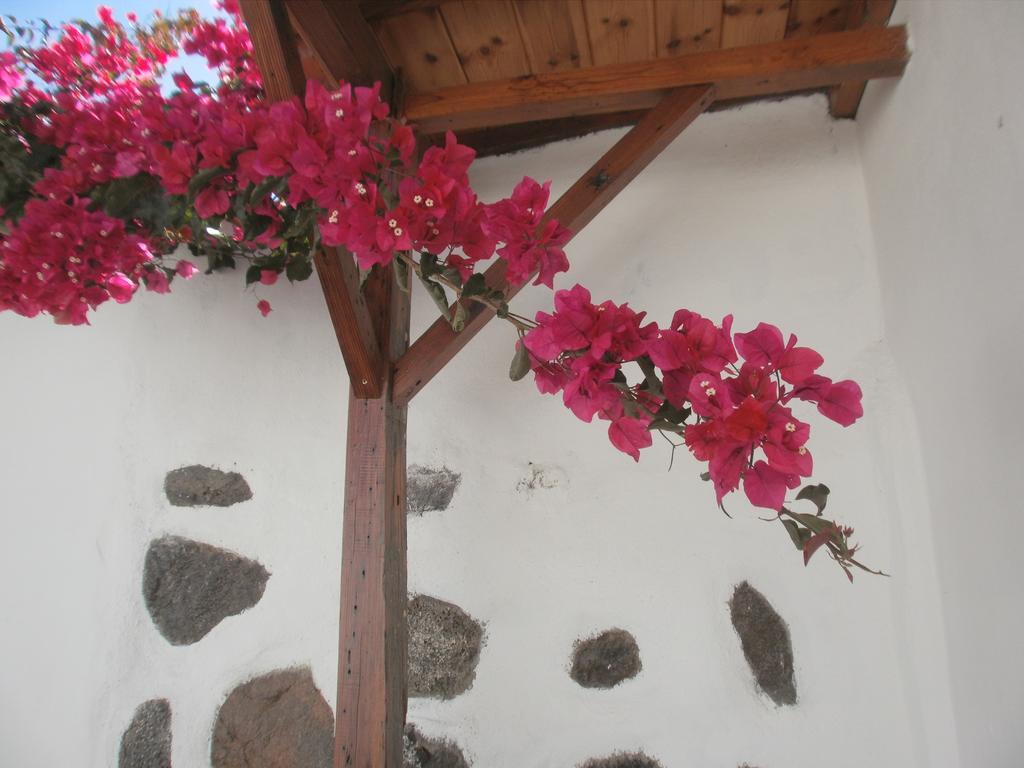 Finca Las Palmeras Icod De Los Vinos Bagian luar foto