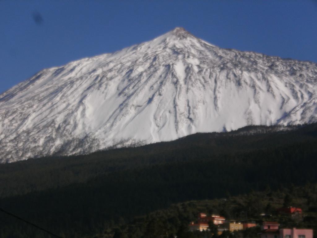 Finca Las Palmeras Icod De Los Vinos Bagian luar foto