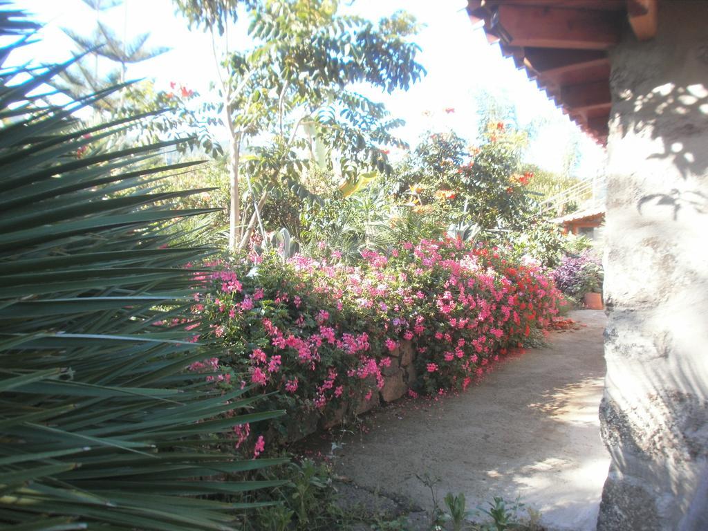 Finca Las Palmeras Icod De Los Vinos Bagian luar foto