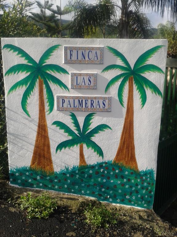 Finca Las Palmeras Icod De Los Vinos Ruang foto