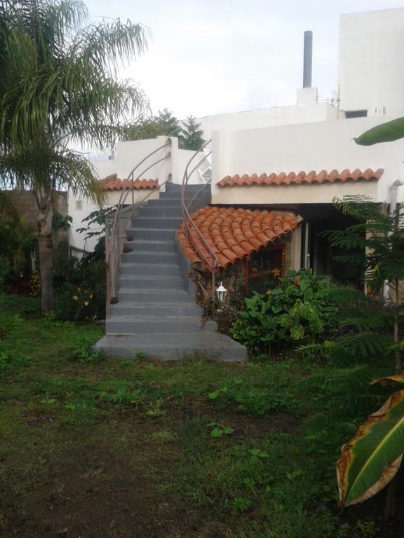 Finca Las Palmeras Icod De Los Vinos Ruang foto