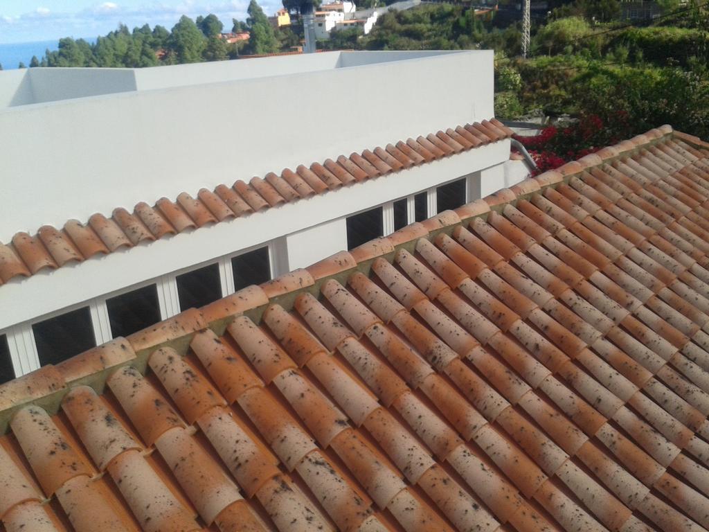 Finca Las Palmeras Icod De Los Vinos Ruang foto