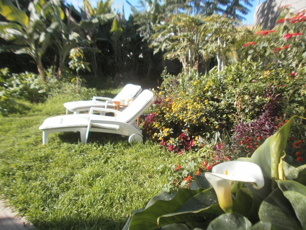 Finca Las Palmeras Icod De Los Vinos Ruang foto