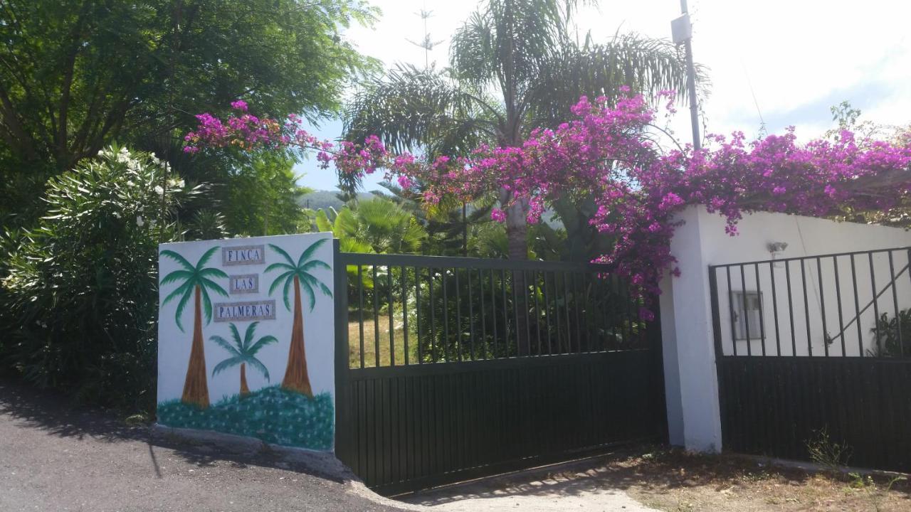 Finca Las Palmeras Icod De Los Vinos Bagian luar foto